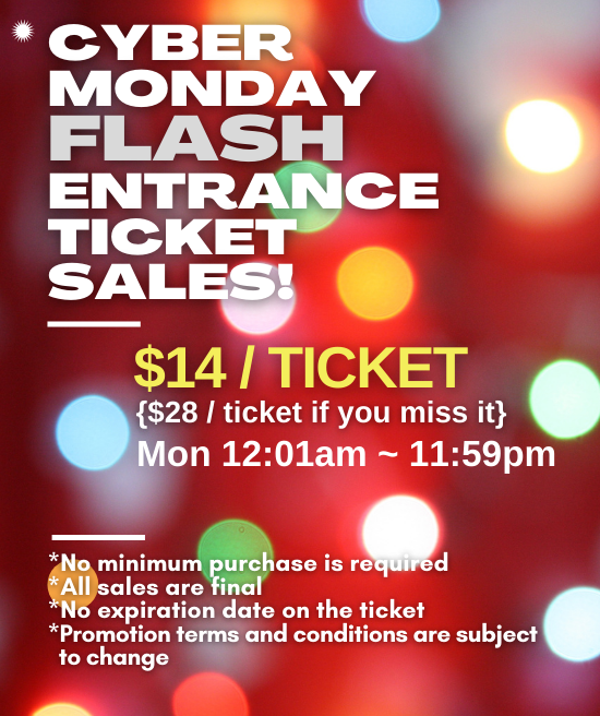Cyber Monday Flash Ticket Sale Spaland